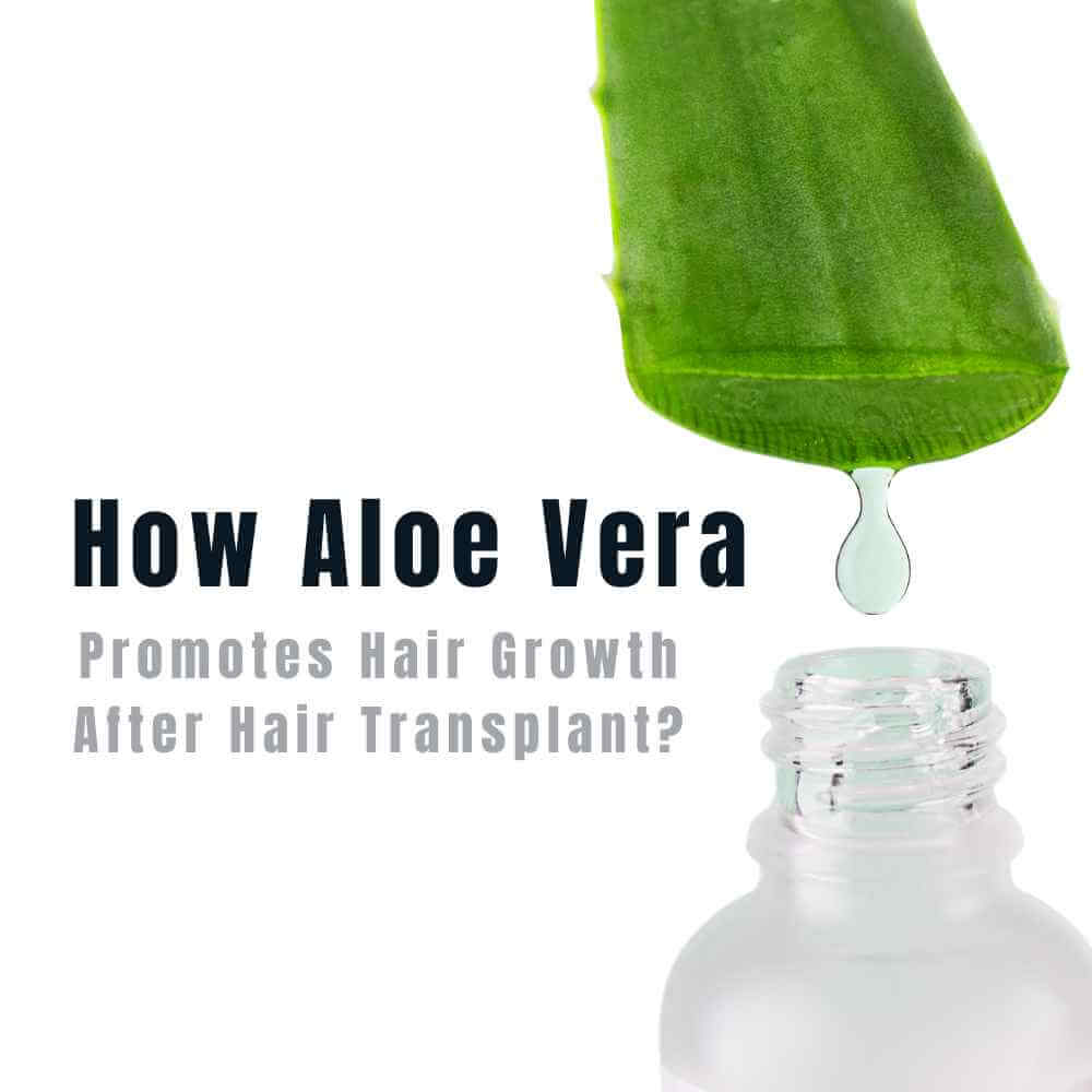 aloe vera premium gel ALODERMA Pure Aloe Vera Gel 500g